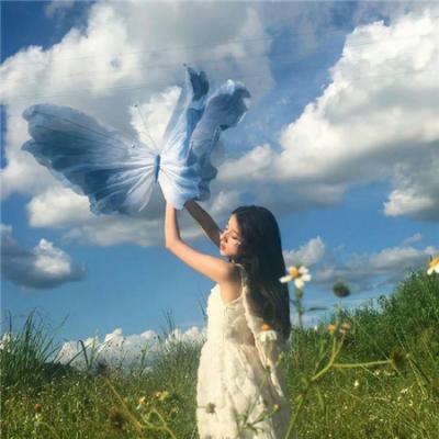 被退婚后夫人财源滚滚