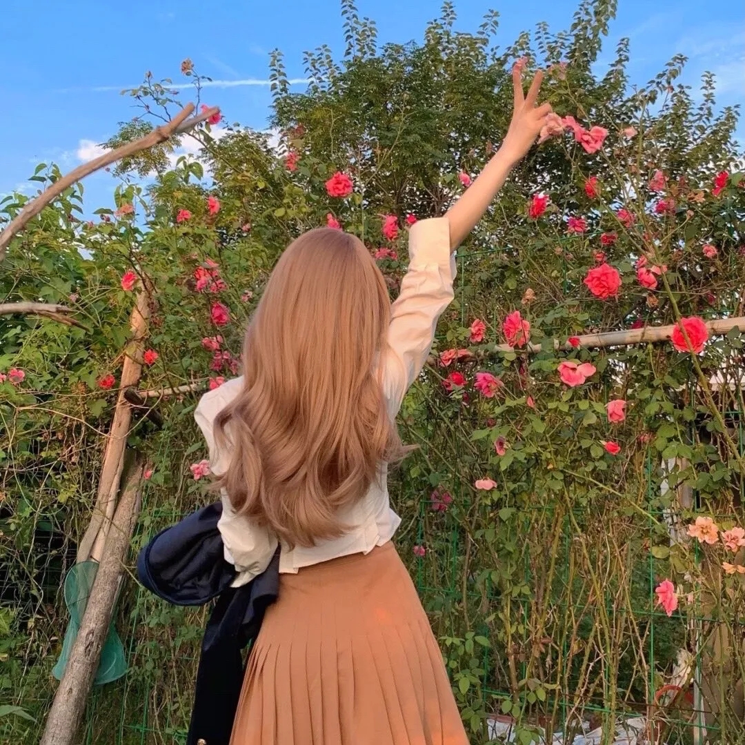 燕子号与亚马逊号